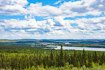 e boreal forest taiga of the Province of Newfoundland and Labrador, Canada, near the border to Quebec