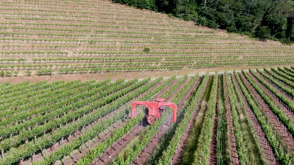 Farm tractor spraying pesticides and insecticides herbicides over green vineyard field