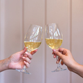 Women toasting with wine to celebrate. - PhotoDune Item for Sale