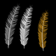 Three Feather - 3DOcean Item for Sale