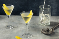 Boozy Cold Lemon Gin Martini - PhotoDune Item for Sale
