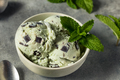 Homemade Green Mint Chocolate Chip Ice Cream - PhotoDune Item for Sale