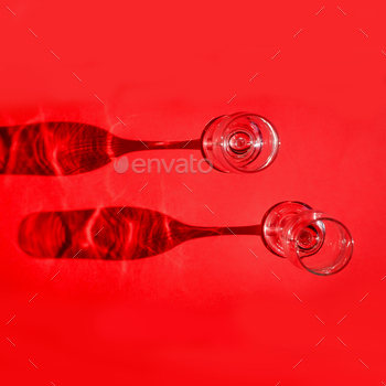 DSC 5521a