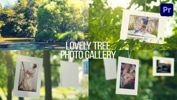 Lovely Tree Photo Gallery