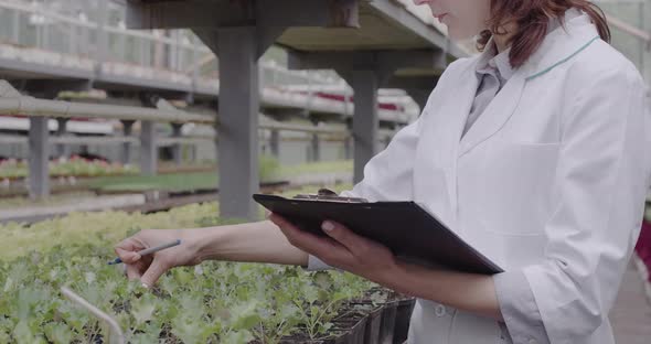 Unrecognizable Biologist in Medical Robe Examining Plants in Greenhouse. Caucasian Serious Woman