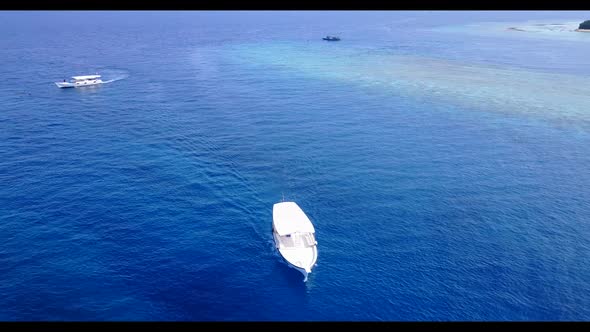 Aerial top down abstract of idyllic tourist beach wildlife by blue lagoon and white sand background 