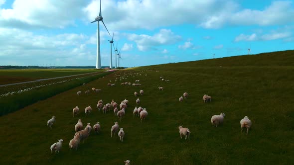 Offshore Windmill Park with Clouds and a Blue Sky Windmill Park in the Ocean Drone Aerial View with