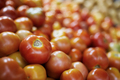 Sale of fresh raw tomatos - PhotoDune Item for Sale