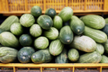 Sale of fresh raw cucumbers - PhotoDune Item for Sale
