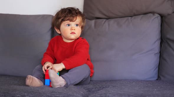 Funny little boy sitting on a sofa in red sweater. Side view