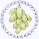 Hand Painted Watercolor Grapes in an hourglass - GraphicRiver Item for Sale