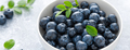 Blueberry with leaves in a bowl. Banner - PhotoDune Item for Sale