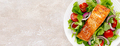 Grilled salmon fish fillet and fresh vegetable salad with tomato, red onion and lettuce. Banner - PhotoDune Item for Sale