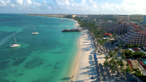Palm Beach Aruba Amazing Tropical Beach with Palm Tree Entering the Ocean Against Azur Ocean Gold