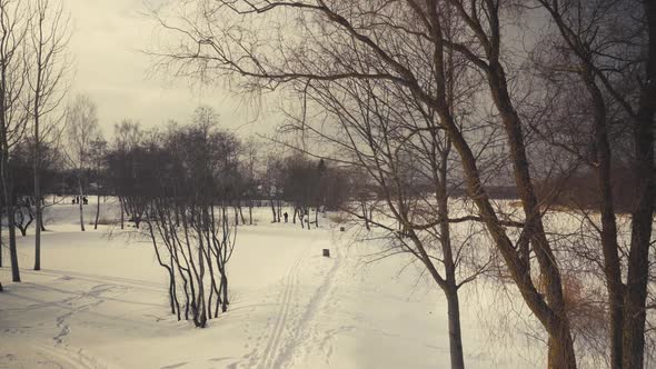 Gauja National Park river in ice in winter