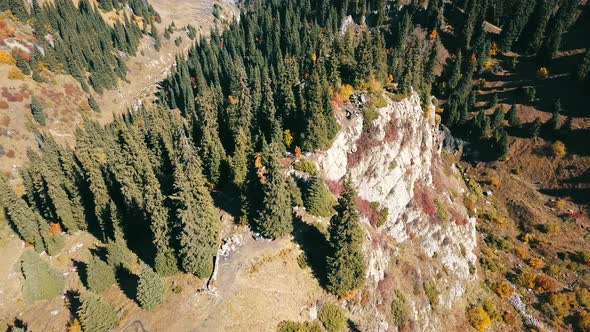 Rocky terrain. Coniferous trees grow on the hills. Autumn landscape. Green spruce, yellow-red bushes