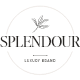 Splendour - Jewelry & Watches WordPress Theme - ThemeForest Item for Sale