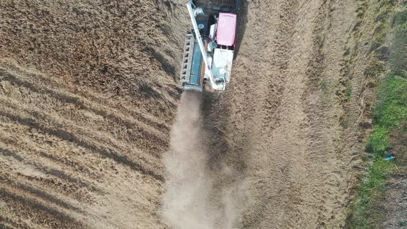 Harvester in the rice field