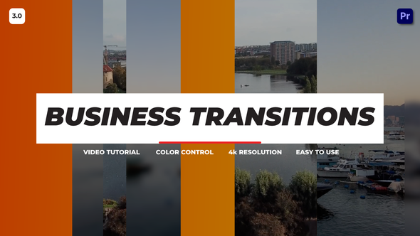 Business Transition Premiere Pro 3.0