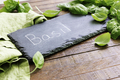 Fresh Basil Leaves - PhotoDune Item for Sale