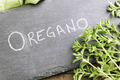 Fresh Oregano and Sign - PhotoDune Item for Sale