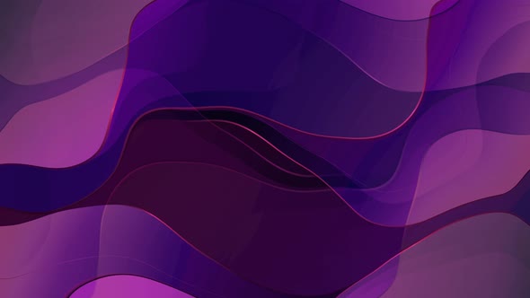 New Purple Pink Color Shape Line Wave Animated Background