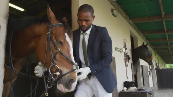 African American man putting bridle on the Dressage horse