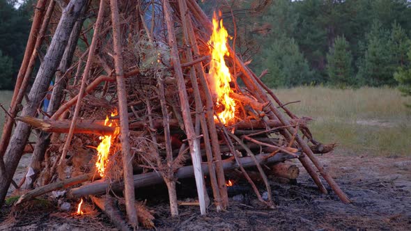 Big Campfire of the Branches Burn at Dusk in the Forest, Large Fire Brightly Burning