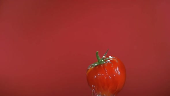 Red Juicy Tomato is Flying Up on the Red Background with the Splash of Water