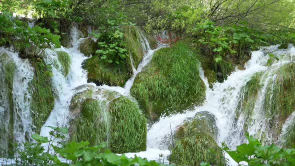 Fresh natural springs water rushing through lush green hills