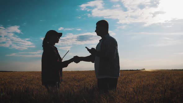 Farmers Handshake Over the Wheat Crop in Harvest Time. Team Farmers Stand in a Wheat Field with