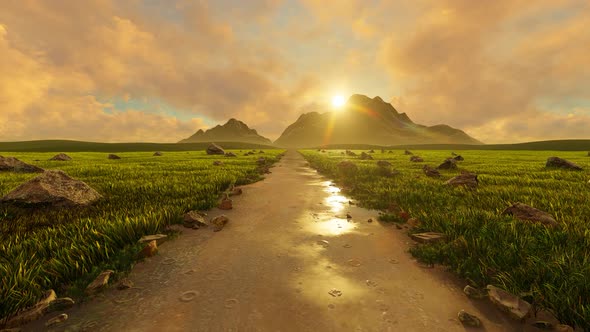 Country Road In The Rain alt