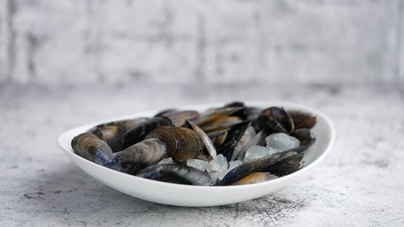 Fresh and Raw Sea Mussels in White Ceramic Bowl on Stone Background