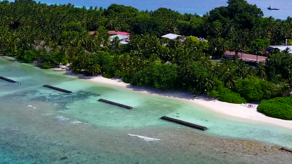 Aerial drone travel of tourist beach wildlife by sea and sand background