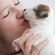 Girl Petting and Playing with a Small Puppy - VideoHive Item for Sale