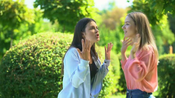 Two Women Friends Quarrelling, Dont Want to Listen to Each Other, Confrontation