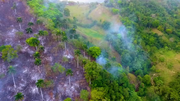 Aerial view around deforestation caused by raging forest fires, in the tropical Jungles of Central A