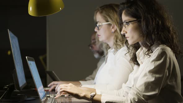 Professional Focused Business People Using Laptops