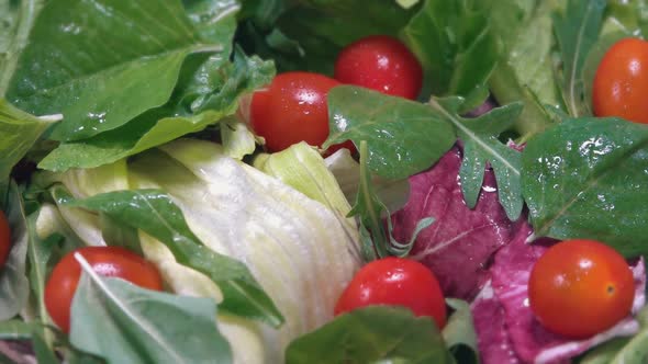 Rotating Fresh Salad With Leaves And Tomato