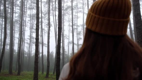 Slow motion rear view of a young asian woman looking at a beautiful pine tree woods on foggy day