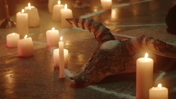 Cow Skull and Candles on Floor Closeup