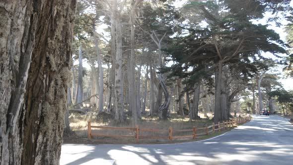 Scenic 17Mile Drive Monterey California