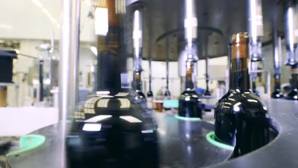 Conveyor of Wine Bottles at a Factory