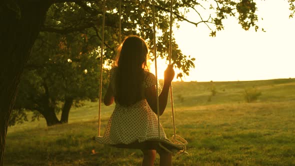 Child Swinging on a Swing in Park in Sun. Young Girl Swinging on Rope Swing on an Oak Branch. Teen