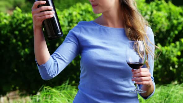 Beautiful woman examining wine in vineyard