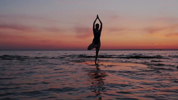 Young Athletic Woman Standing Alone and Performing Yoga Tree Pose