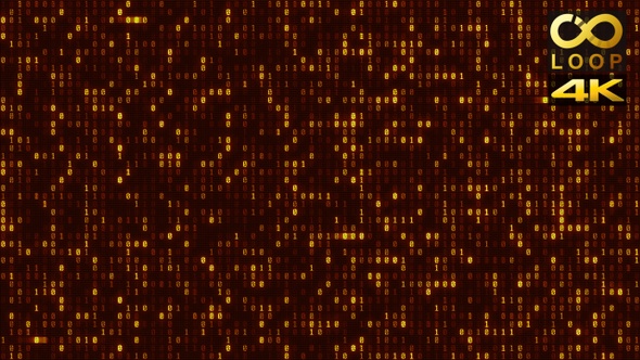 Binary Code Gold alt