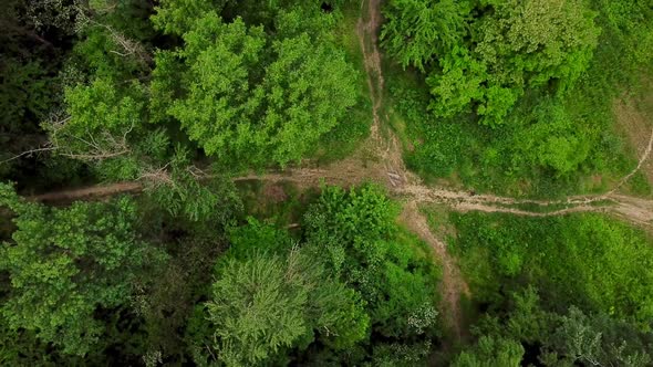 Aerial Top Down View of Woodland Mysterious Forest Road