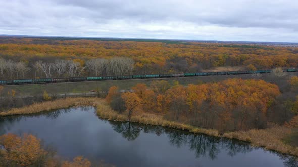 Train Through The Autumn Forest 3