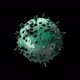 Virus without background - VideoHive Item for Sale